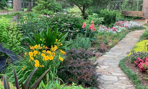 Gardening Melbourne