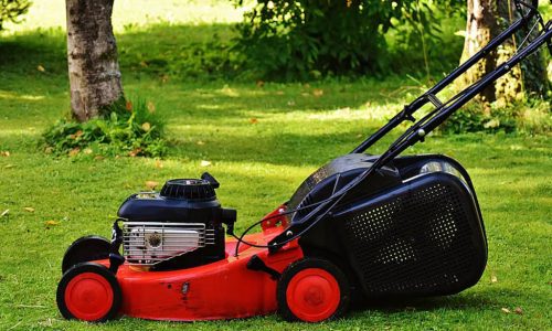 Lawn Mowing Melbourne